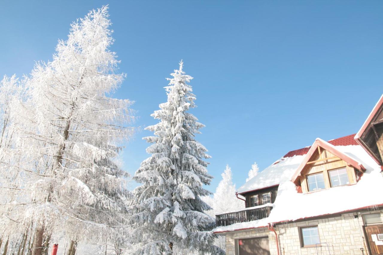 Czajka Bed & Breakfast Szklarska Poręba Eksteriør bilde